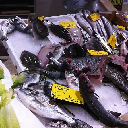 Appartement Casa Tiziano *